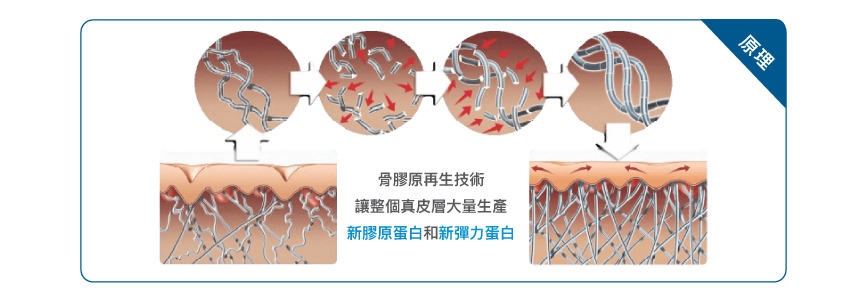 360膠原女神槍_banner867x300